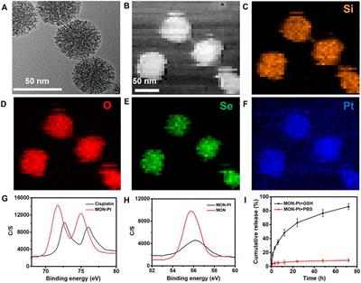 Biomimetic Redox-Responsive Mesoporous Organosilica Nanoparticles Enhance Cisplatin-Based Chemotherapy